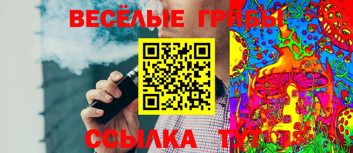 Псилоцибиновые грибы GOLDEN TEACHER  Вход с VPN  Псилоцибиновые грибы Cubensis  Углич 